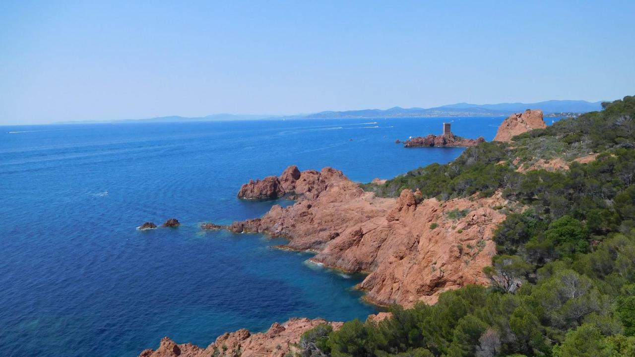 Grand Appartement Dans Maison Avec Piscine Privee Frejus Ngoại thất bức ảnh