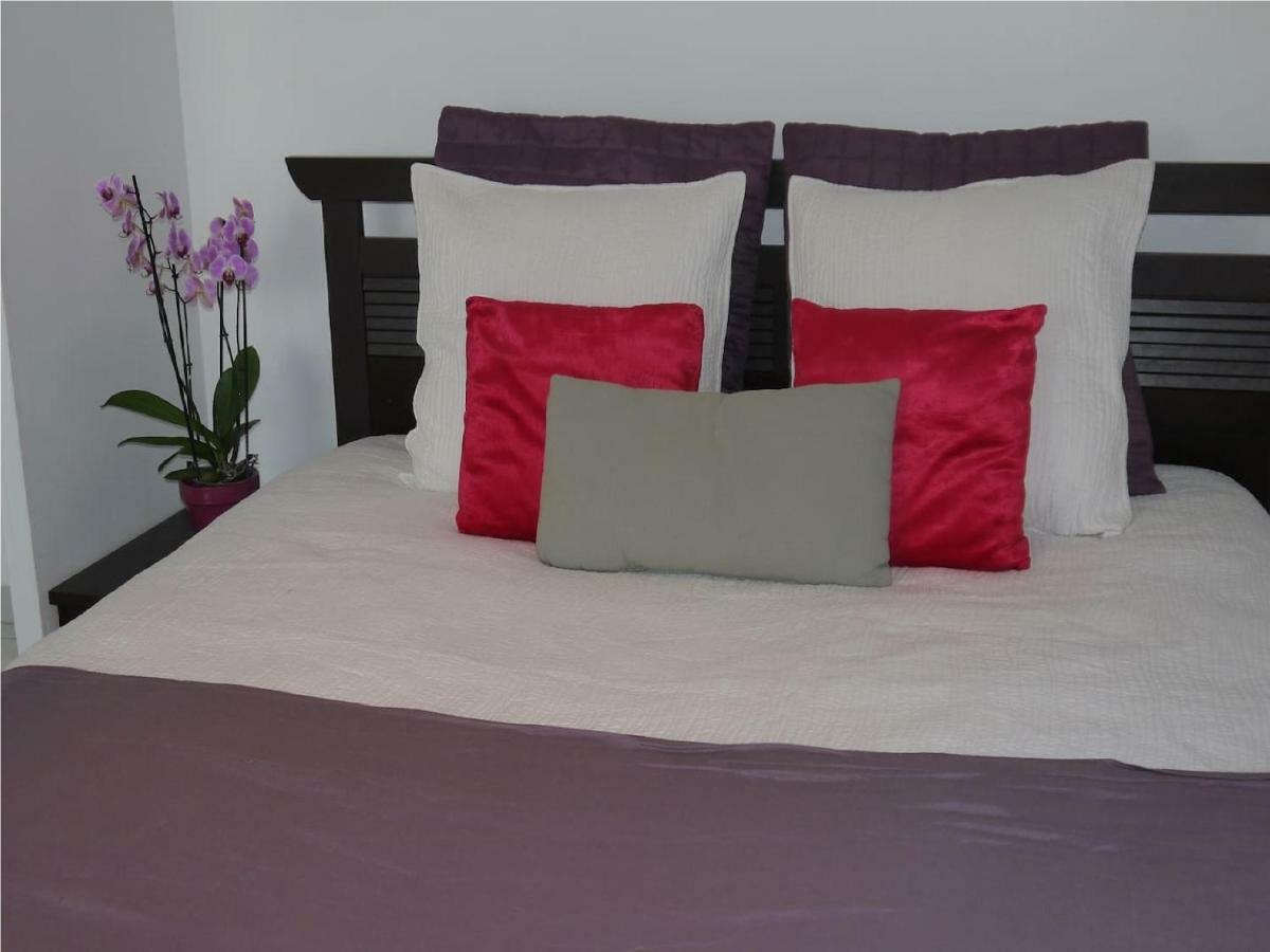 Grand Appartement Dans Maison Avec Piscine Privee Frejus Ngoại thất bức ảnh